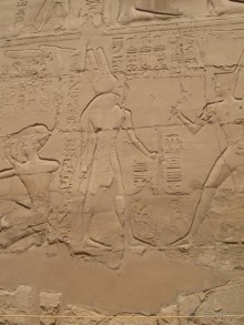 Отдых с детьми в любое время года -hotel "Albatros Resort"