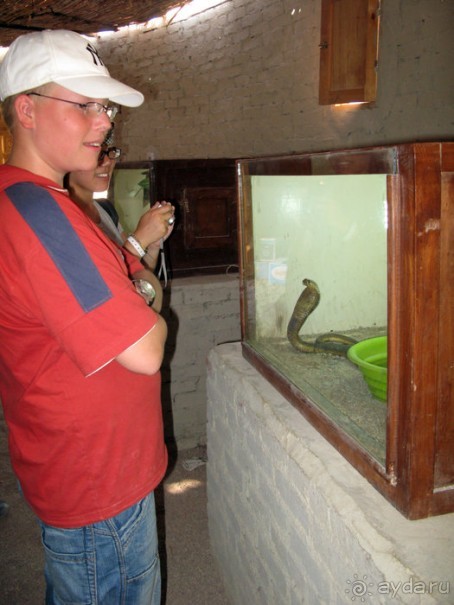 Отдых с детьми в любое время года -hotel "Albatros Resort"