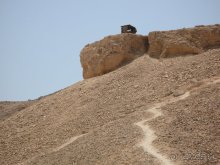 Отдых с детьми в любое время года -hotel "Albatros Resort"