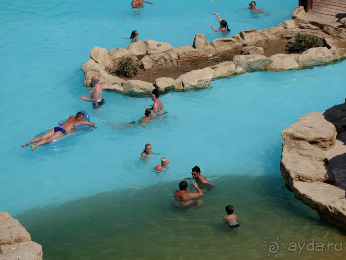 Отдых с детьми в любое время года -hotel "Albatros Resort"