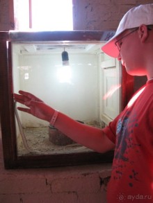 Отдых с детьми в любое время года -hotel "Albatros Resort"