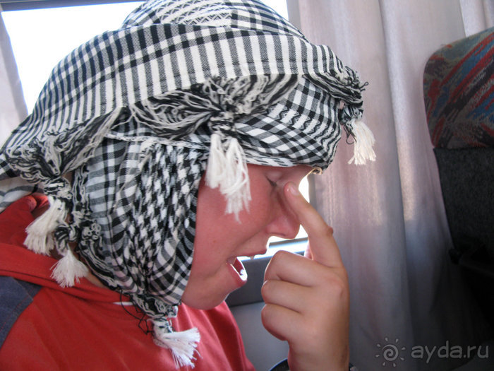 Отдых с детьми в любое время года -hotel "Albatros Resort"