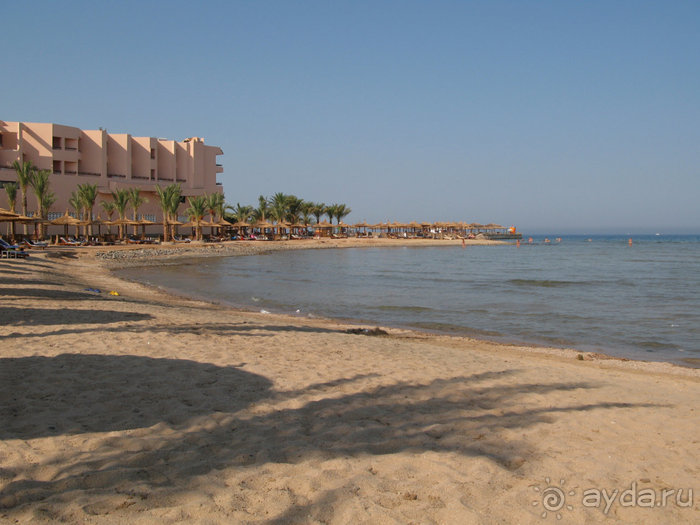 Отдых с детьми в любое время года -hotel "Albatros Resort"