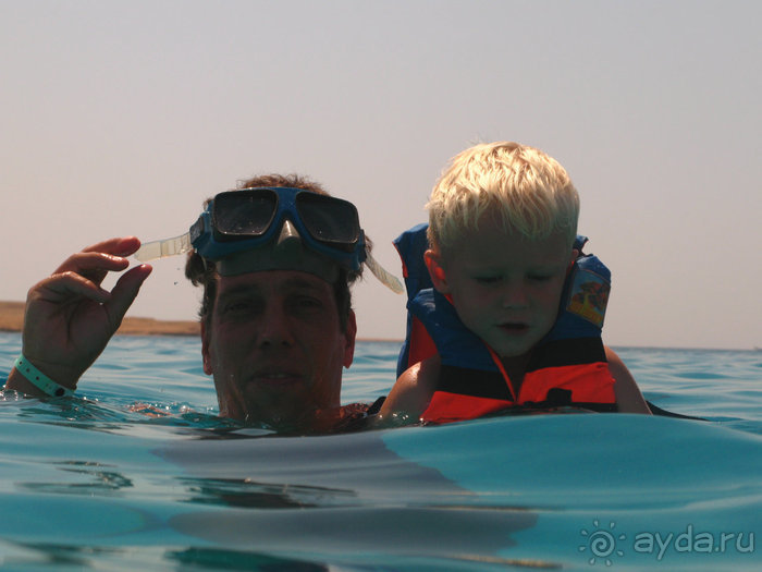 Отдых с детьми в любое время года -hotel "Albatros Resort"