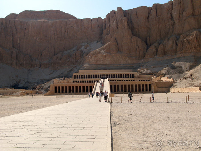 Отдых с детьми в любое время года -hotel "Albatros Resort"