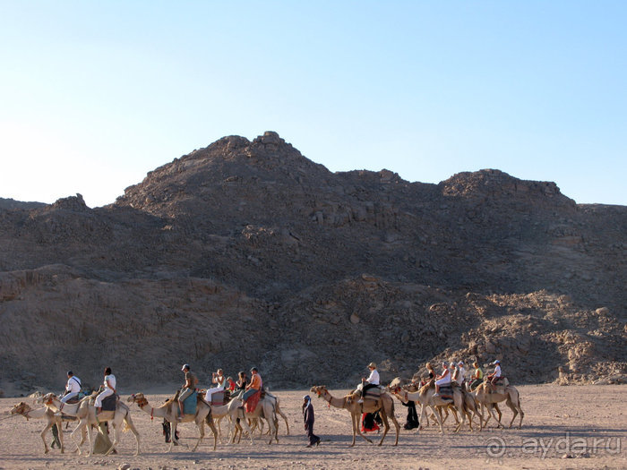 Отдых с детьми в любое время года -hotel "Albatros Resort"