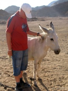 Отдых с детьми в любое время года -hotel "Albatros Resort"