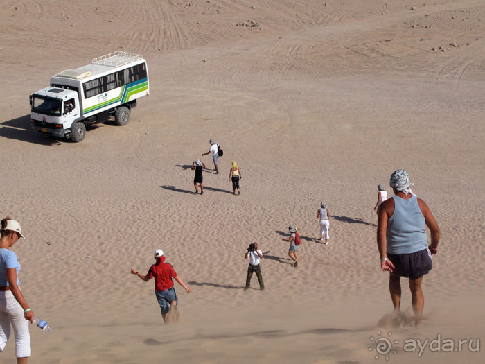 Отдых с детьми в любое время года -hotel "Albatros Resort"