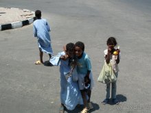 Отдых с детьми в любое время года -hotel "Albatros Resort"