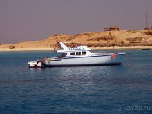 Отдых с детьми в любое время года -hotel "Albatros Resort"