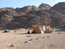 Отдых с детьми в любое время года -hotel "Albatros Resort"