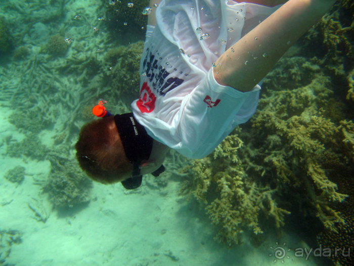 Отдых с детьми в любое время года -hotel "Albatros Resort"