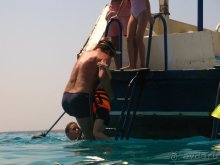 Отдых с детьми в любое время года -hotel "Albatros Resort"