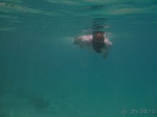 Отдых с детьми в любое время года -hotel "Albatros Resort"