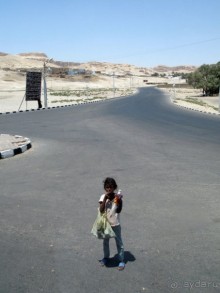 Отдых с детьми в любое время года -hotel "Albatros Resort"