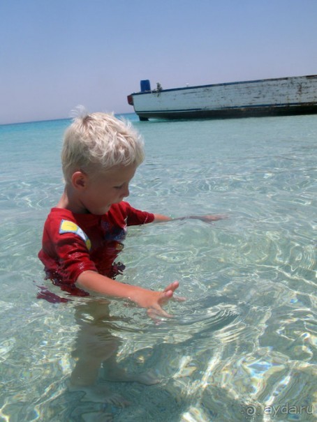 Отдых с детьми в любое время года -hotel "Albatros Resort"