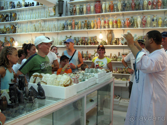 Отдых с детьми в любое время года -hotel "Albatros Resort"