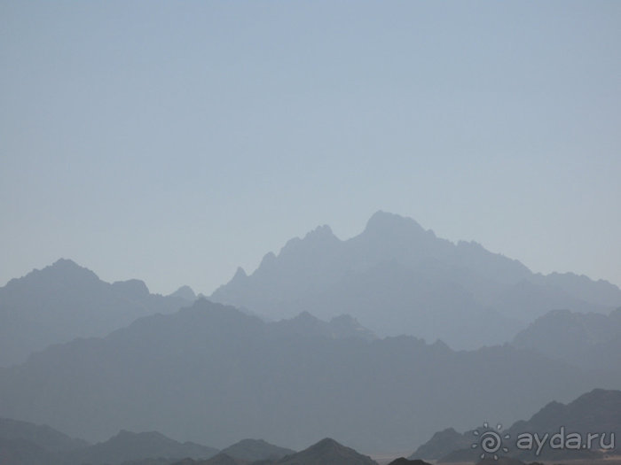 Отдых с детьми в любое время года -hotel "Albatros Resort"