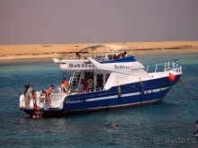 Отдых с детьми в любое время года -hotel "Albatros Resort"