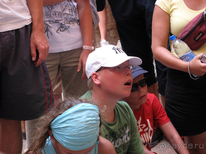 Отдых с детьми в любое время года -hotel "Albatros Resort"