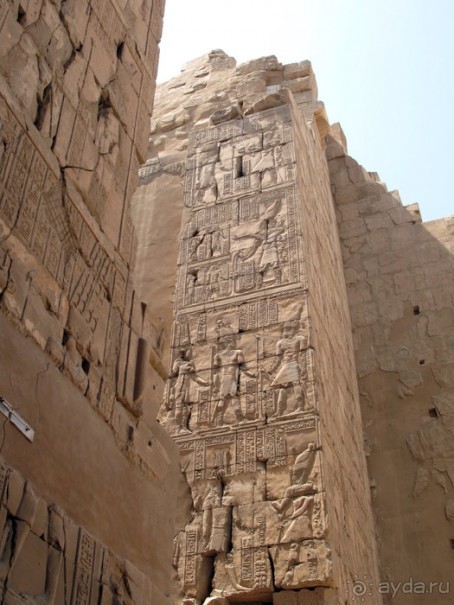 Отдых с детьми в любое время года -hotel "Albatros Resort"