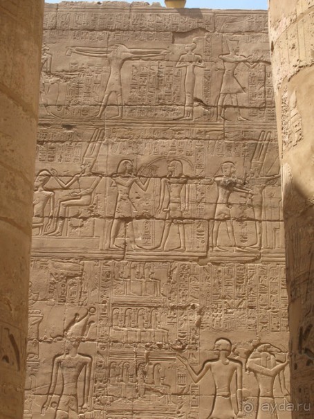 Отдых с детьми в любое время года -hotel "Albatros Resort"