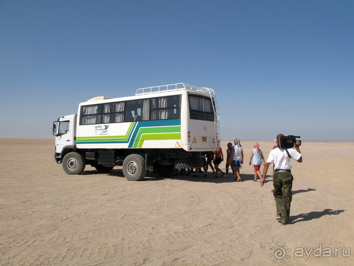 Отдых с детьми в любое время года -hotel "Albatros Resort"