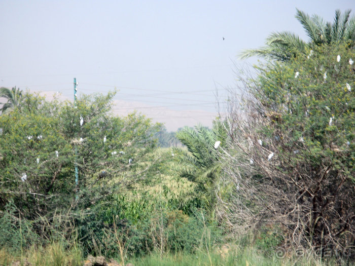 Альбом отзыва "Отдых с детьми в любое время года -hotel "Albatros Resort""