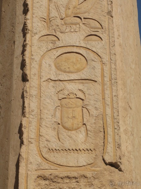 Альбом отзыва "Отдых с детьми в любое время года -hotel "Albatros Resort""