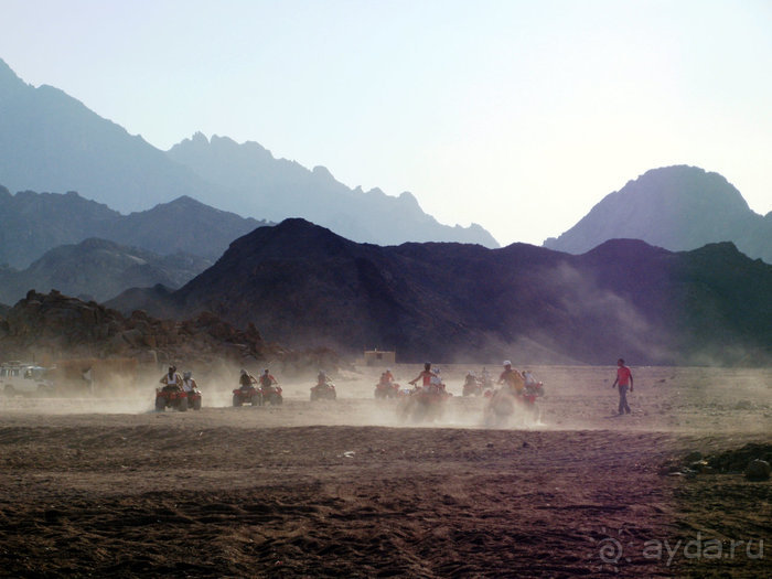 Альбом отзыва "Отдых с детьми в любое время года -hotel "Albatros Resort""