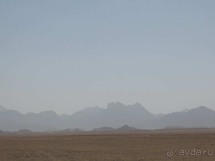 Альбом отзыва "Отдых с детьми в любое время года -hotel "Albatros Resort""