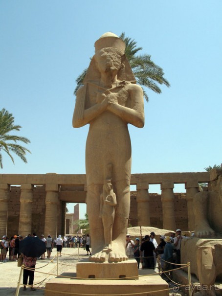 Альбом отзыва "Отдых с детьми в любое время года -hotel "Albatros Resort""