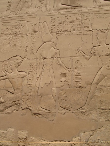 Альбом отзыва "Отдых с детьми в любое время года -hotel "Albatros Resort""