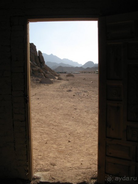 Альбом отзыва "Отдых с детьми в любое время года -hotel "Albatros Resort""