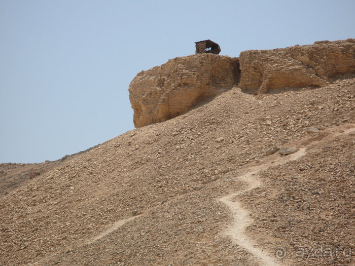 Альбом отзыва "Отдых с детьми в любое время года -hotel "Albatros Resort""