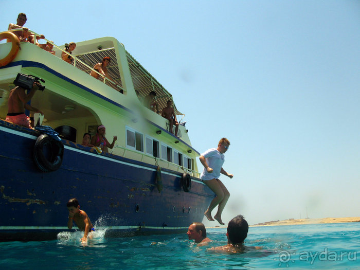 Альбом отзыва "Отдых с детьми в любое время года -hotel "Albatros Resort""