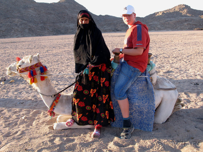 Альбом отзыва "Отдых с детьми в любое время года -hotel "Albatros Resort""