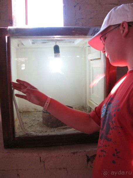 Альбом отзыва "Отдых с детьми в любое время года -hotel "Albatros Resort""