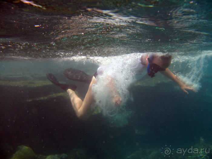 Альбом отзыва "Отдых с детьми в любое время года -hotel "Albatros Resort""