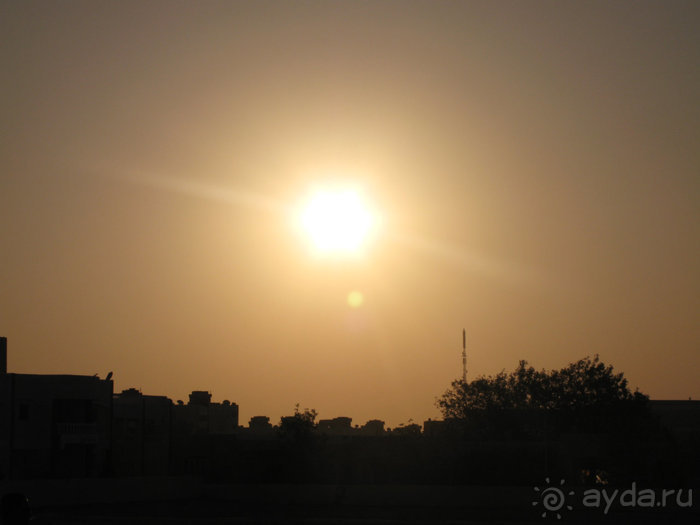 Альбом отзыва "Отдых с детьми в любое время года -hotel "Albatros Resort""