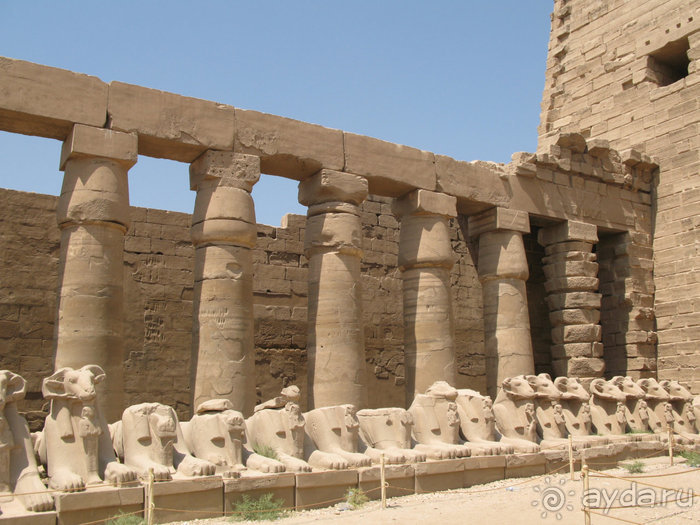 Альбом отзыва "Отдых с детьми в любое время года -hotel "Albatros Resort""