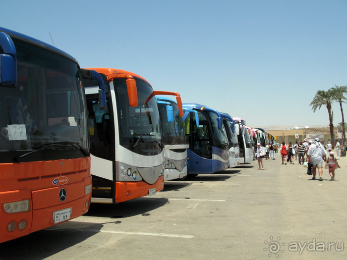 Альбом отзыва "Отдых с детьми в любое время года -hotel "Albatros Resort""