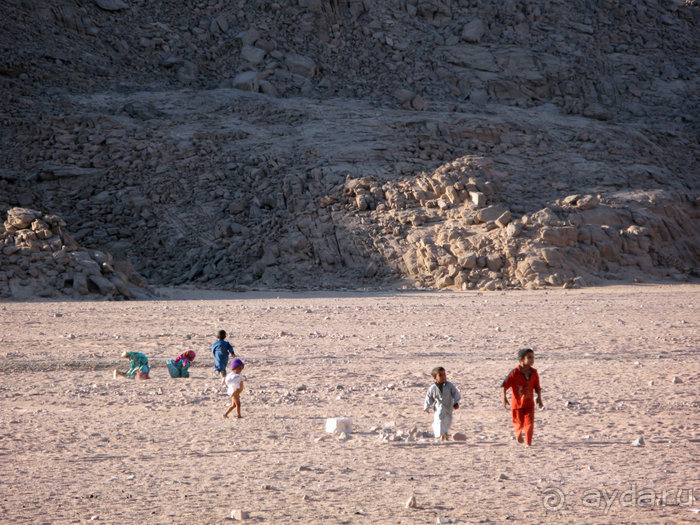 Альбом отзыва "Отдых с детьми в любое время года -hotel "Albatros Resort""