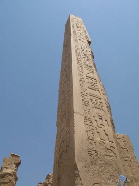 Альбом отзыва "Отдых с детьми в любое время года -hotel "Albatros Resort""