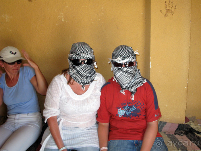 Альбом отзыва "Отдых с детьми в любое время года -hotel "Albatros Resort""