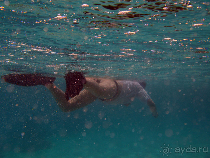 Альбом отзыва "Отдых с детьми в любое время года -hotel "Albatros Resort""