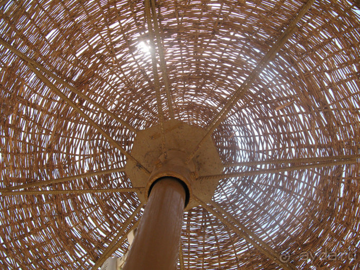 Альбом отзыва "Отдых с детьми в любое время года -hotel "Albatros Resort""