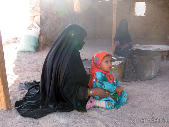 Альбом отзыва "Отдых с детьми в любое время года -hotel "Albatros Resort""