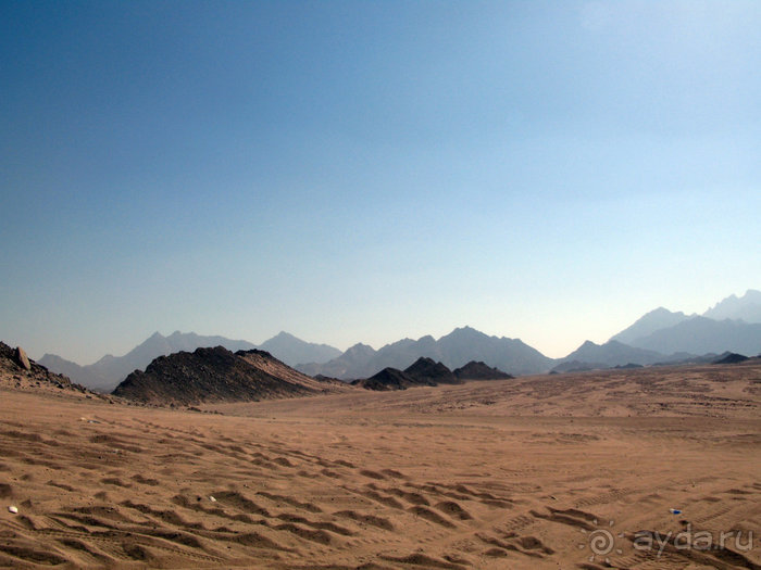 Альбом отзыва "Отдых с детьми в любое время года -hotel "Albatros Resort""