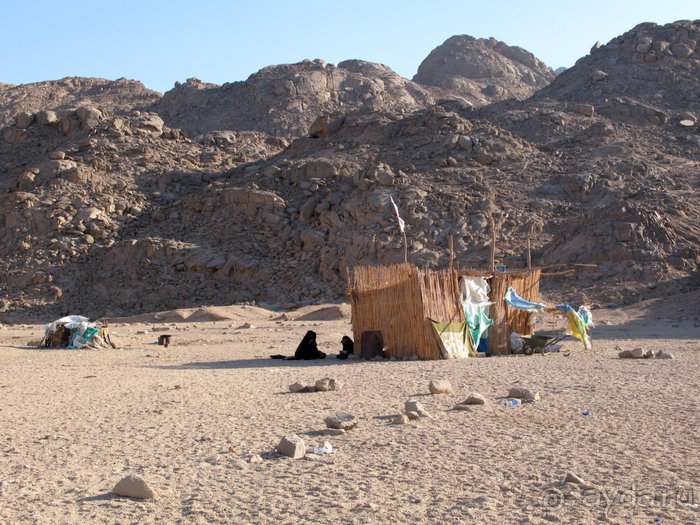 Альбом отзыва "Отдых с детьми в любое время года -hotel "Albatros Resort""